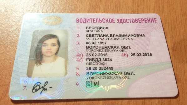 Как узнать, данные “кем выдано водительское удостоверение” и что писать в графе на госуслугах