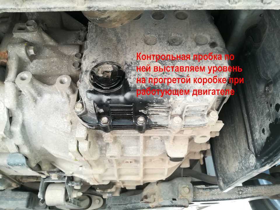 Замена масла мкпп: пошаговая инструкция