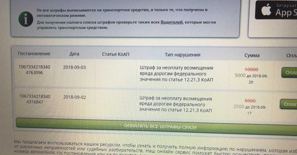 Кто и когда взимает штраф за «платон» и как проверить его наличие?