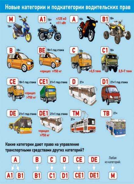 Права на скутер и мопед: категория, возраст, как их получить?