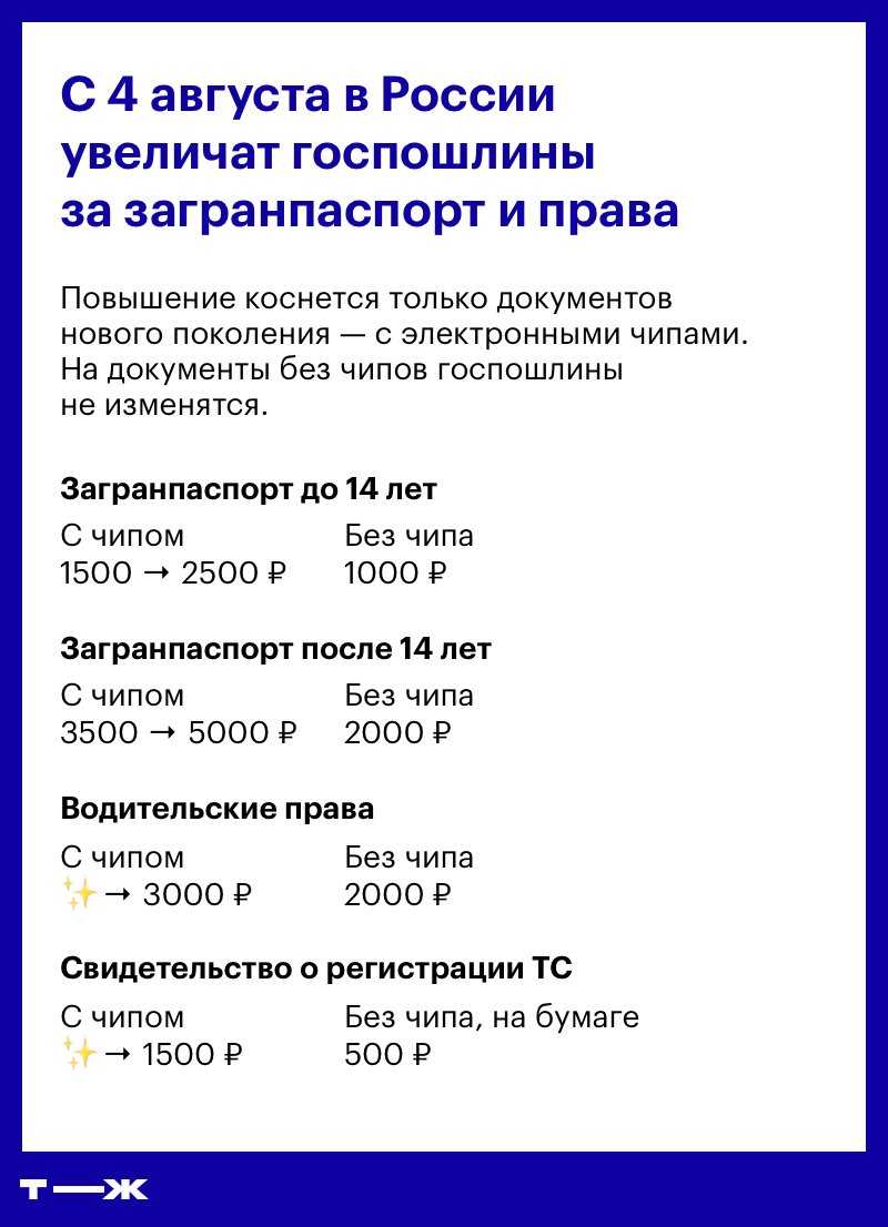 Пошаговая инструкция восстановления водительских прав при утере в в 2023 году