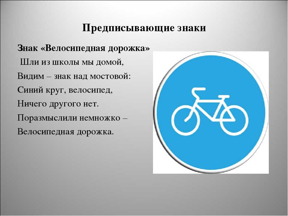 Велосипедные зоны в 2023 году – правила движения | помощь водителям в 2024 году