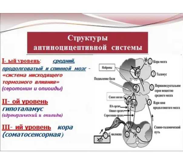 Куланс фольксваген что это