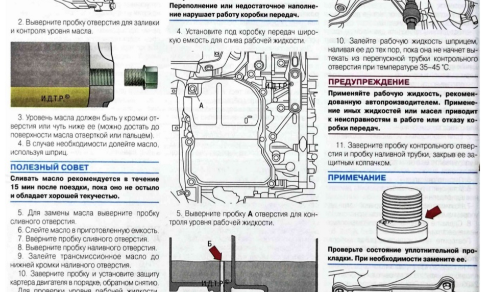 Как правильно проверить уровень масла в коробке 🦈 avtoshark.com