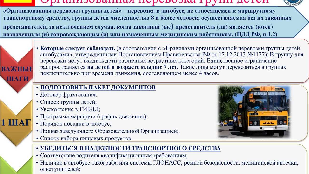 Перевозка детей в автобусах
