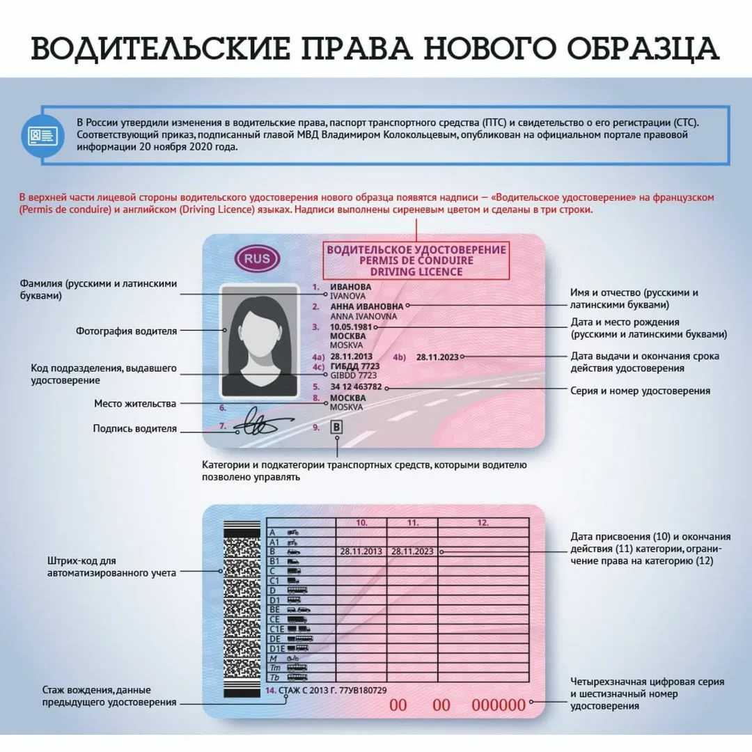 Со скольки лет в россии можно учиться и сдавать на права?
