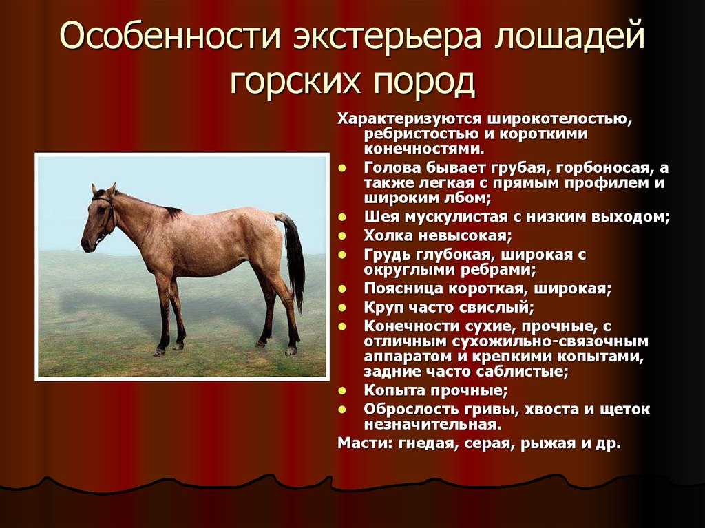 Что такое интерьер и экстерьер?