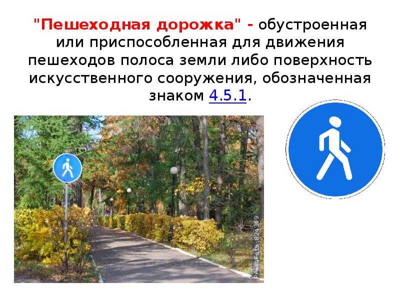 Знак «пешеходная зона» по пдд