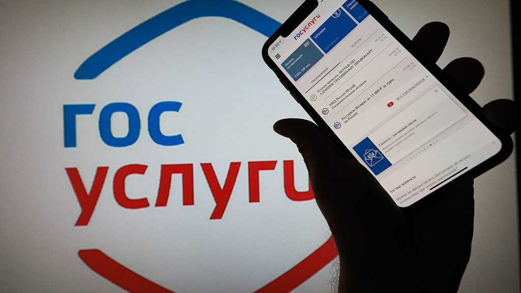 Оплата госпошлины со скидкой 30% через госуслуги: пошаговая инструкция