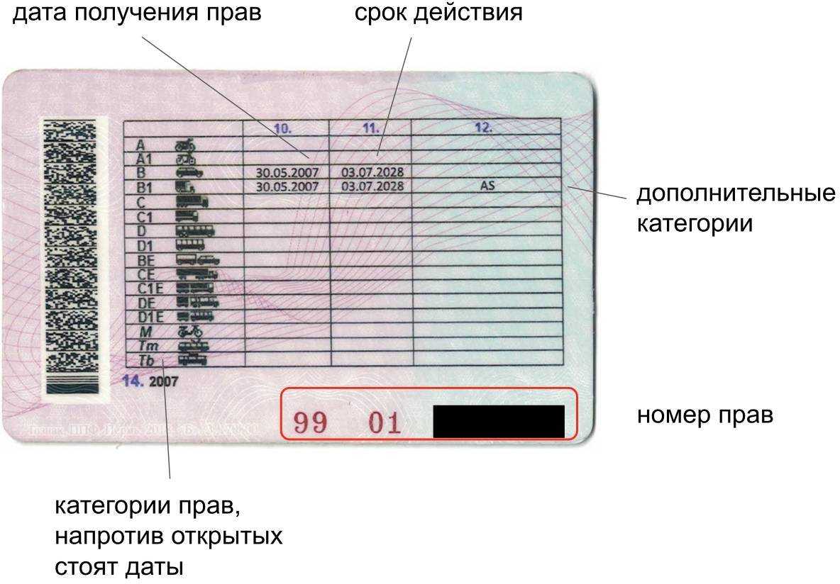 Замена водительского удостоверения досрочно в 2023 году