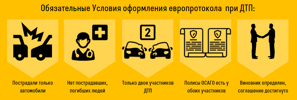 Новый полис осаго: как будет выглядеть, когда введут