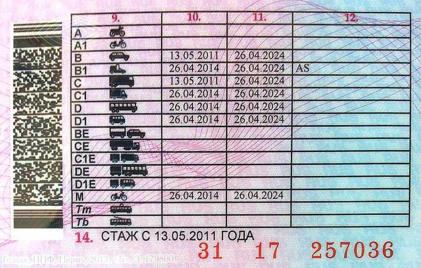 Автобусы газ для перевозки детей/школьные: а66r33 и f67r43 next, 322121 на базе бизнес, расход топлива и прочие технические характеристики специального транспорта