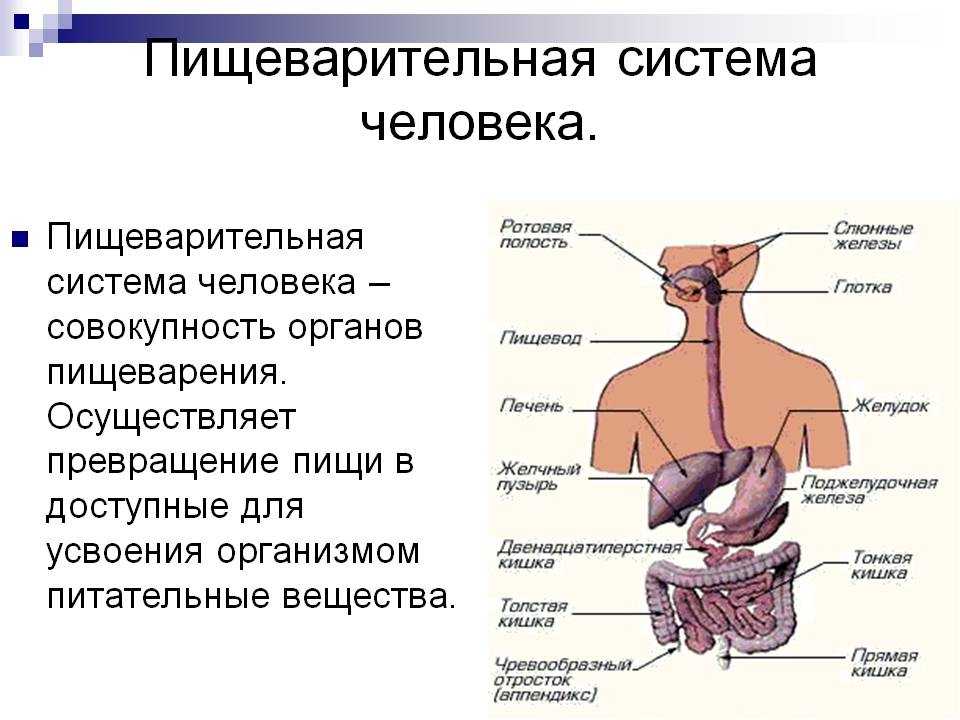 Система куланц что это такое