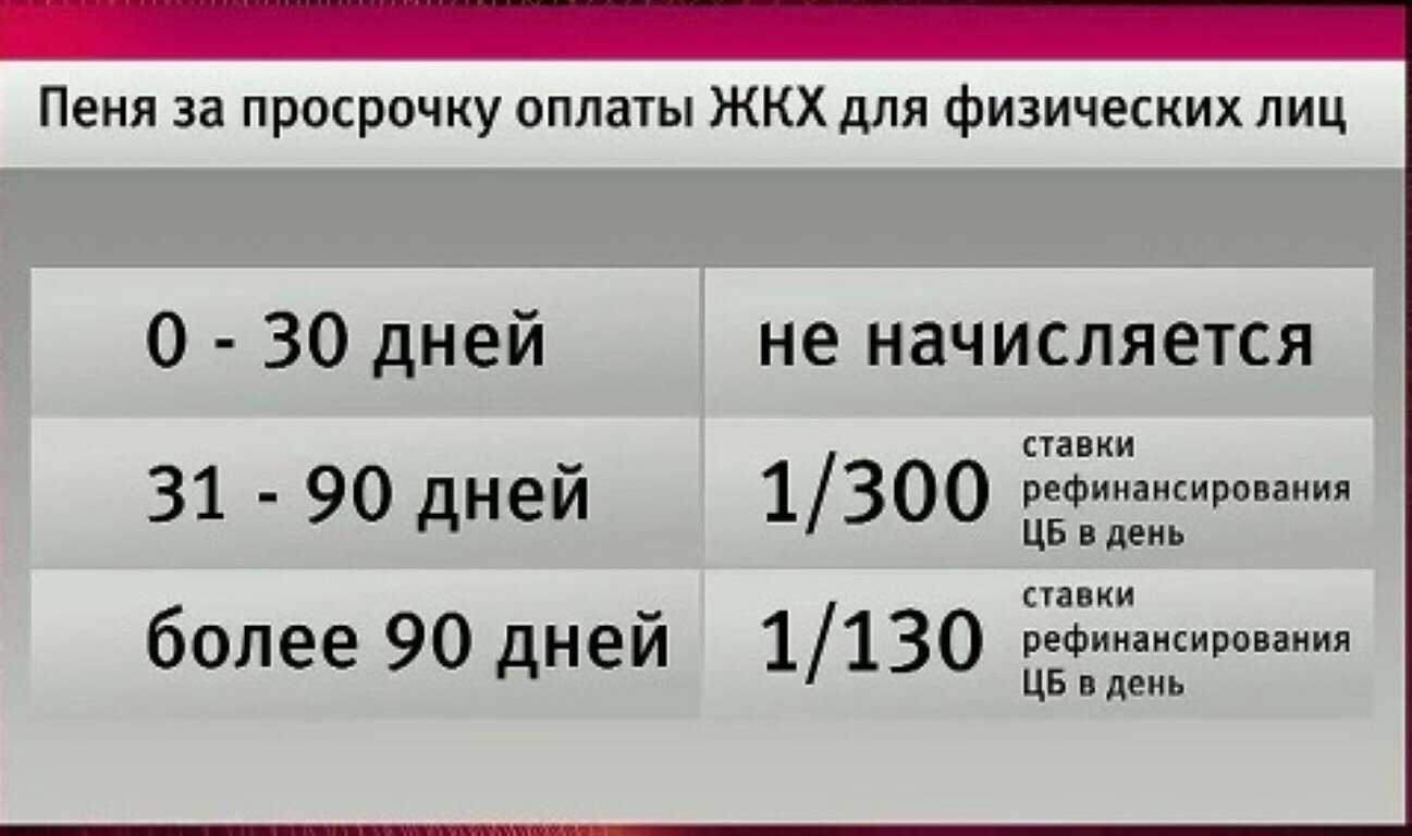 Пени за неуплату транспортного налога в 2023 году