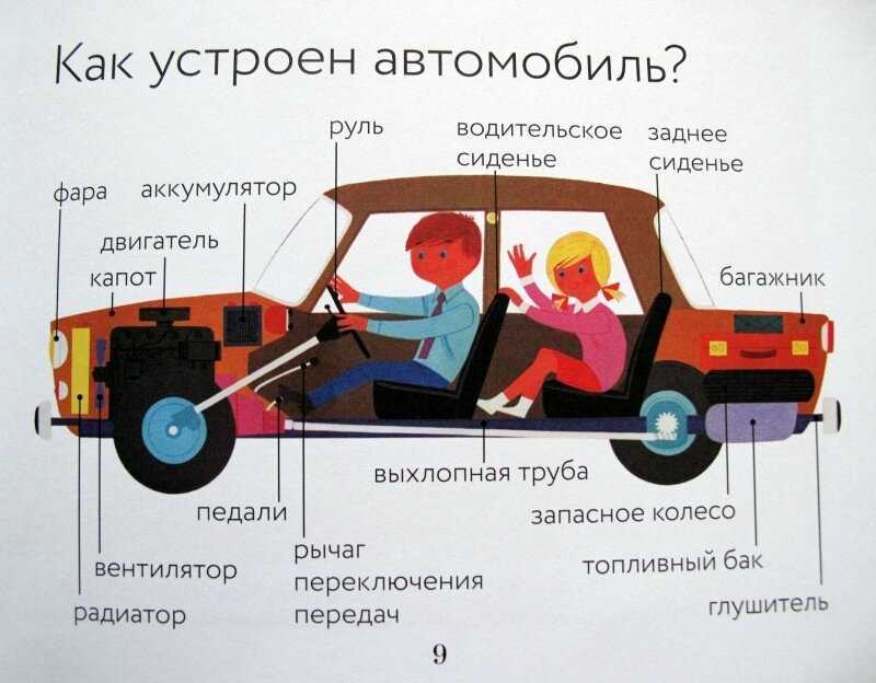 Что такое пузомерки и какая от них польза?