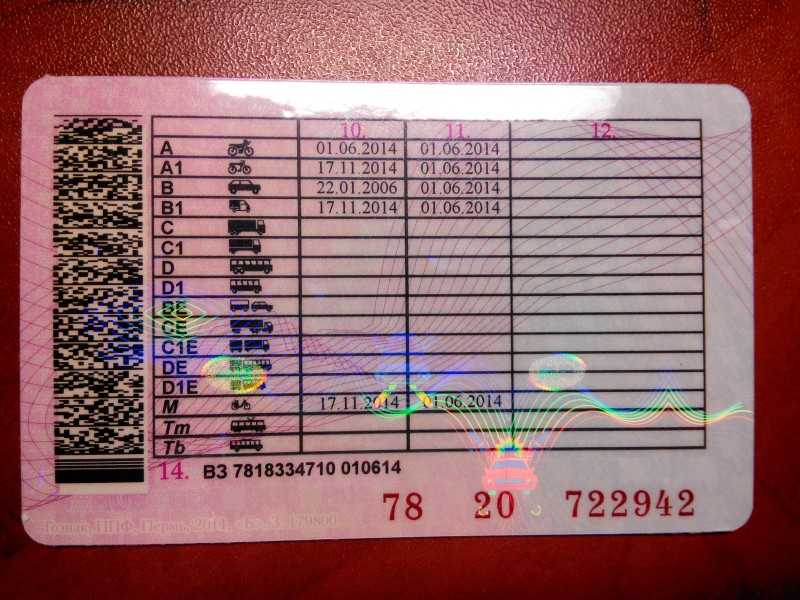 Категория а1 в водительских правах в 2023 году: значение и порядок оформления | помощь водителям в 2024 году