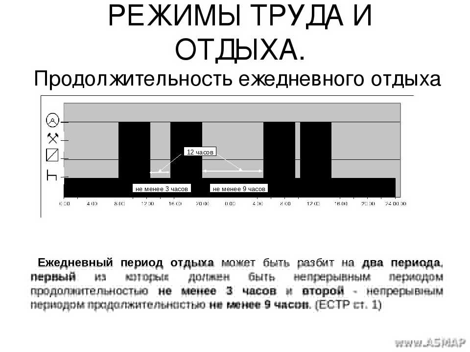 Режим труда и отдыха водителей в 2023 году: новые правила