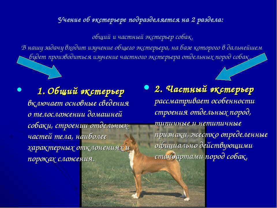 Дизайн фасада частного дома снаружи: варианты красивого экстерьера
 - 49 фото