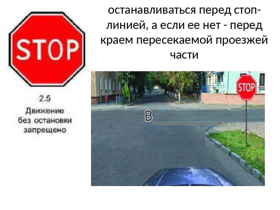Знак стоп (движение без остановки запрещено): как выглядит и какой штраф в 2020 году