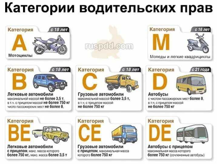 Категория а1 в водительском удостоверении в 2023 году