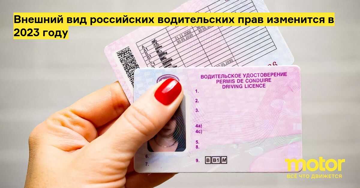 Как иностранцу получить водительские права в россии в 2023 году. может ли иностранный гражданин получить права в россии — гражданство.online