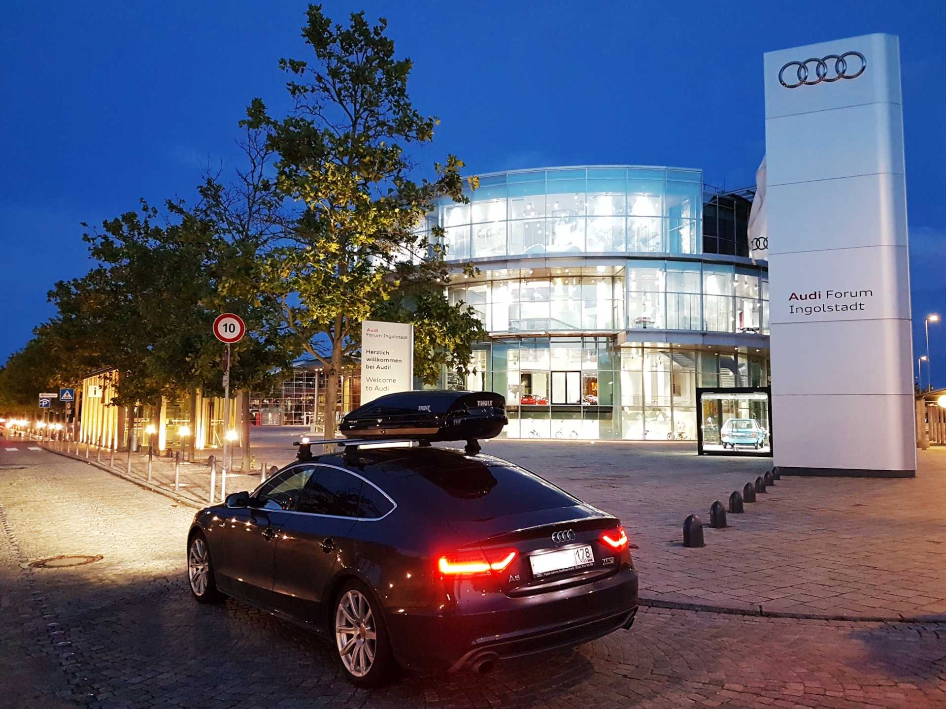 Audi steppenwolf - audi steppenwolf